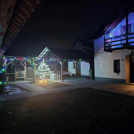 Casa Roxana Villa Viseu de Mijloc Dış mekan fotoğraf