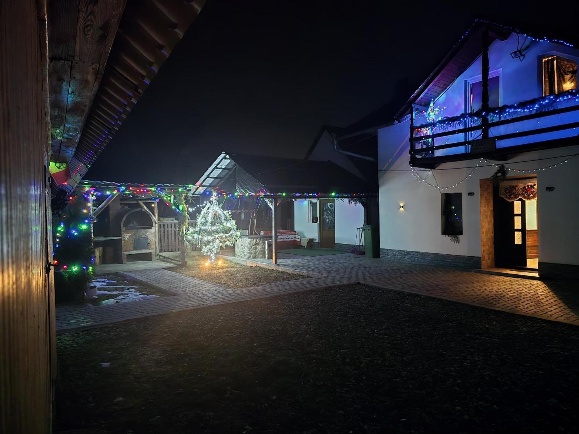 Casa Roxana Villa Viseu de Mijloc Dış mekan fotoğraf